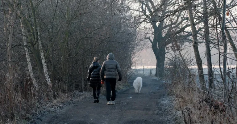 découvrez l'élégance intemporelle du morning coat, le costume idéal pour les événements formels et cérémonies matinales.