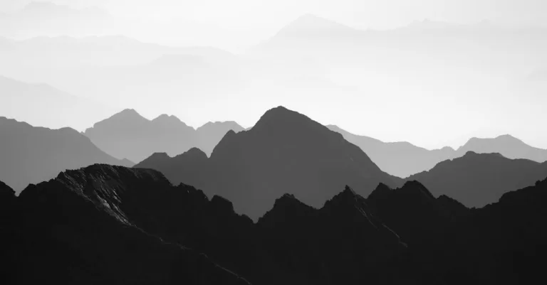 découvrez notre avis détaillé sur bellutia : fonctionnalités, avantages, inconvénients et tout ce que vous devez savoir avant de l'utiliser.