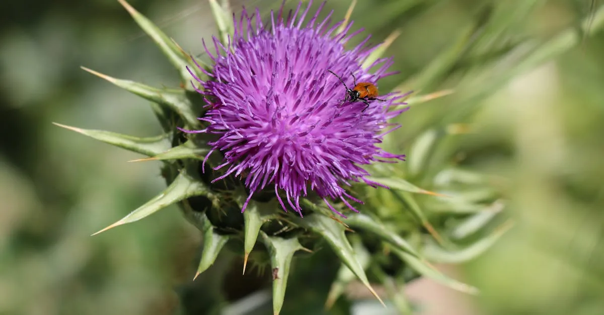 découvrez nos idées de tatouages coccinelle, symboles de chance et protection, pour un design coloré et délicat sur votre peau.
