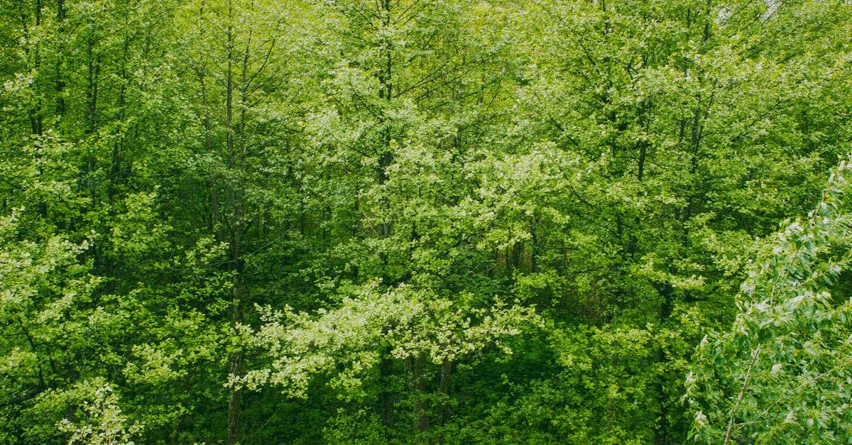 découvrez les risques potentiels du lahochi, une technique énergétique de guérison, et informez-vous avant de la pratiquer.