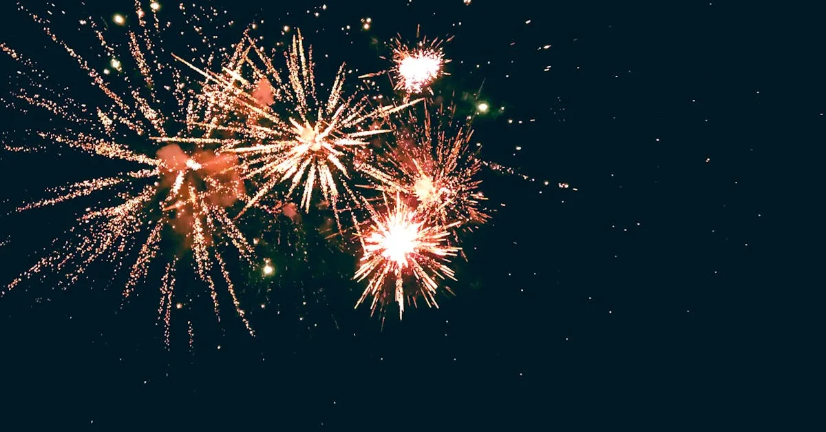 découvrez la définition de la femme la plus belle, célébrant la beauté, la grâce et l'élégance à travers le monde.