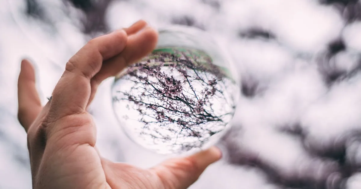découvrez la boule de cristal, un outil mystique utilisé pour la divination et la voyance, idéal pour explorer votre avenir et vos intuitions.
