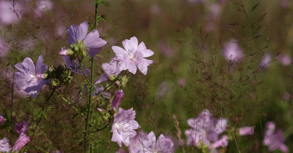 découvrez la sécurité du déodorant intimate musk : formule douce et efficace pour une protection optimale tout au long de la journée.