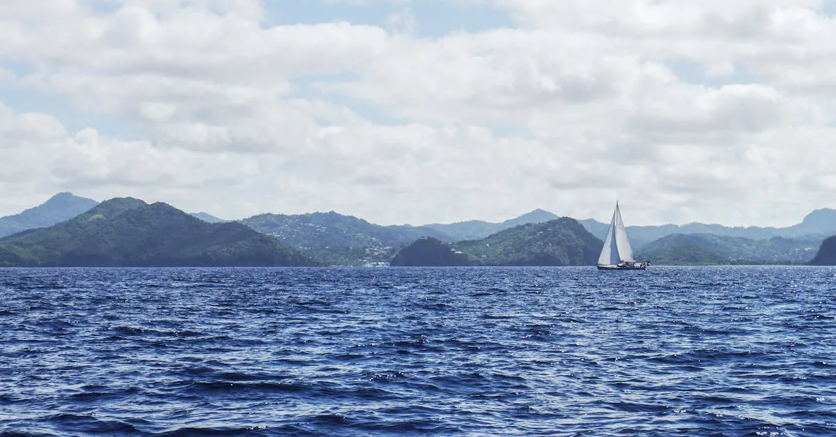 découvrez le land sailing, un sport passionnant alliant vitesse et aventure sur terre grâce à des véhicules propulsés par le vent.