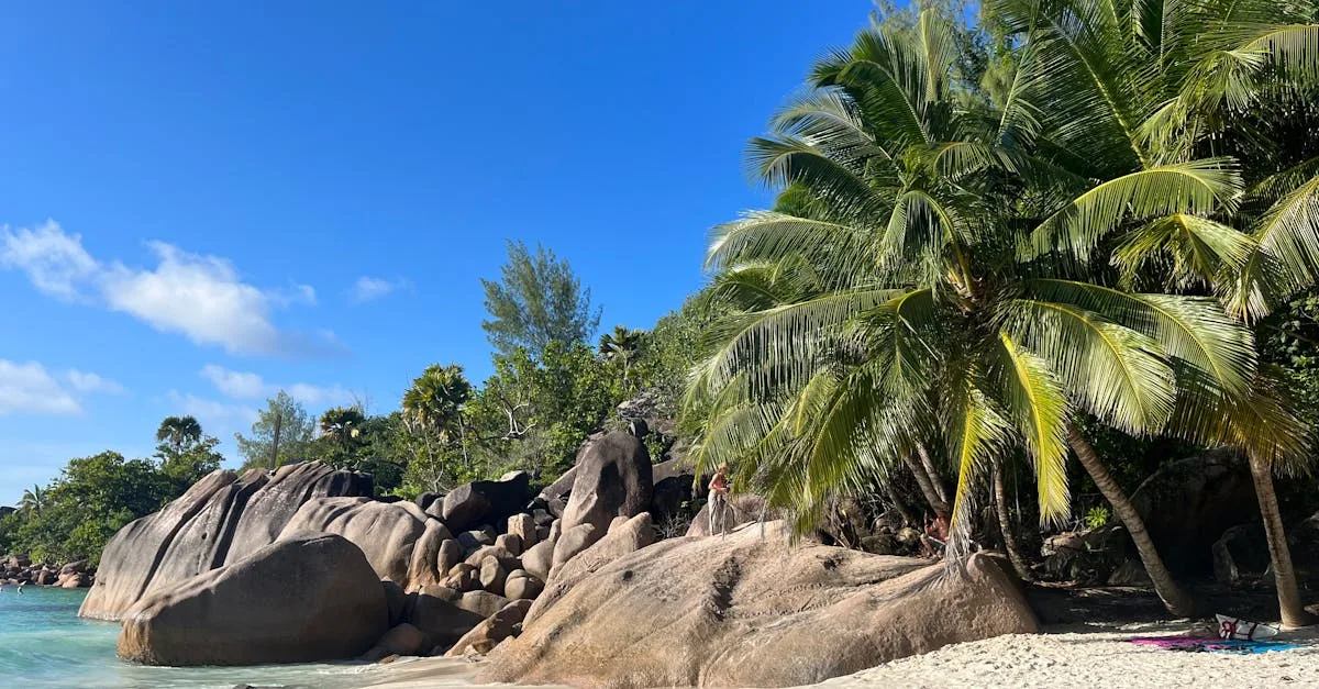 découvrez la meilleure période pour visiter les seychelles et profitez pleinement de ses plages paradisiaques, son climat idéal et ses activités incontournables tout au long de l'année.