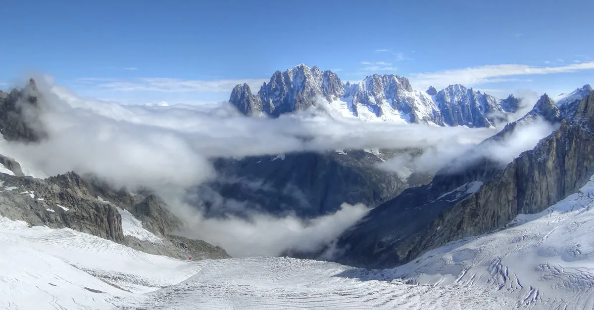 découvrez notre avis complet sur le mont alpine : caractéristiques, performances et conseils pour profiter pleinement de cette expérience en montagne.