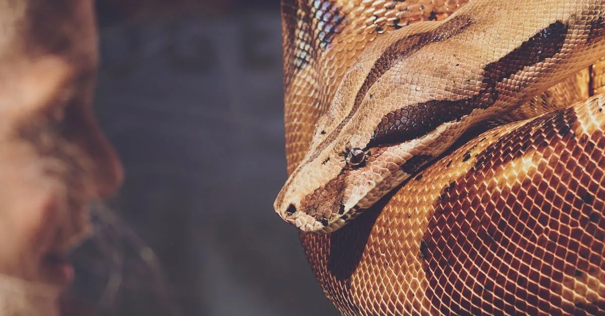 découvrez comment la peur des prédateurs influence le comportement des animaux et les stratégies de survie dans la nature.