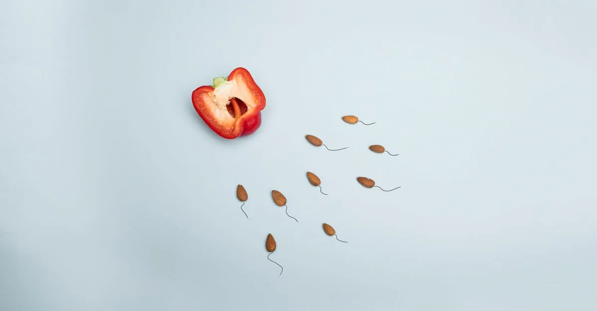 découvrez les bienfaits pour la santé du sperme, incluant l'amélioration de la fertilité, le soutien hormonal et l'impact positif sur la vitalité masculine.