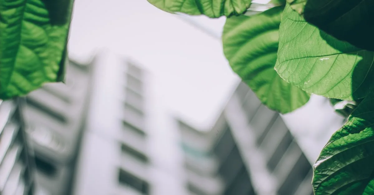 découvrez les réglementations environnementales essentielles pour protéger la nature et assurer un développement durable responsable.