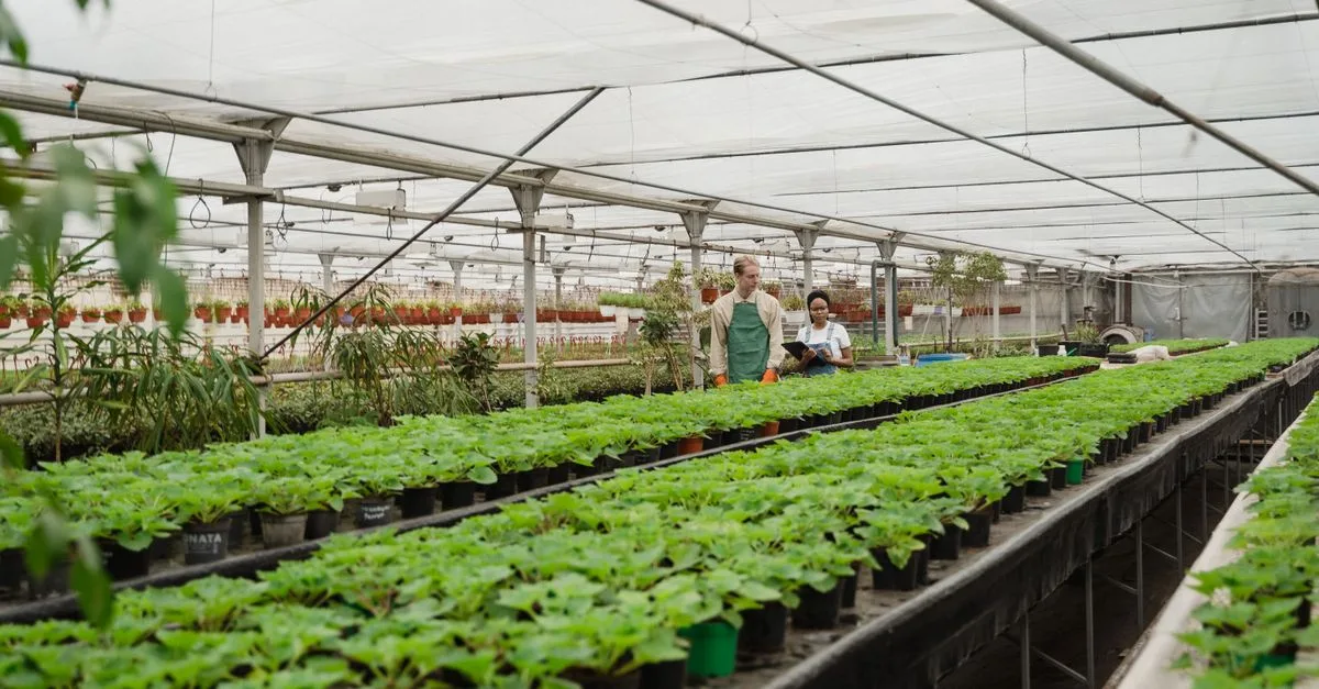 découvrez les pratiques d'agriculture durable visant à préserver les ressources naturelles, favoriser la biodiversité et assurer une production alimentaire responsable pour les générations futures.