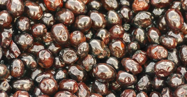 découvrez les bienfaits de l'huile de souchet : riche en nutriments, elle améliore la digestion, favorise la santé cardiovasculaire et hydrate la peau naturellement.