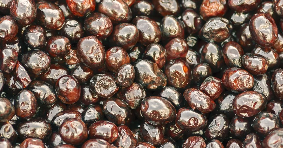 découvrez les bienfaits de l'huile de souchet : riche en nutriments, elle améliore la digestion, favorise la santé cardiovasculaire et hydrate la peau naturellement.