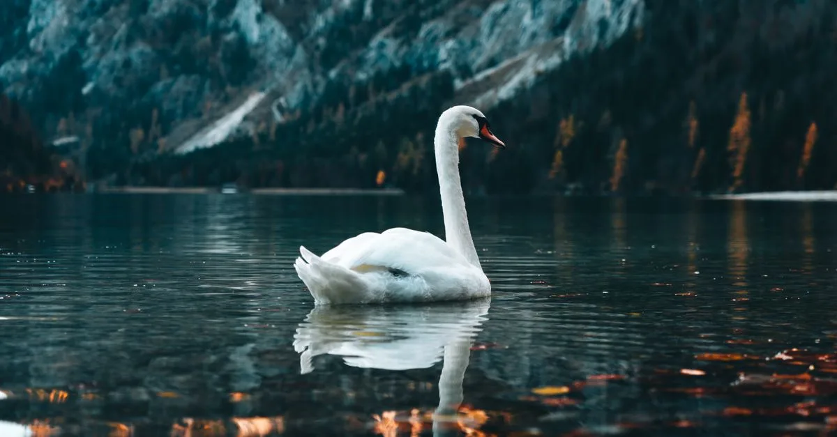découvrez la signification des heures miroir, ces moments mystérieux où les chiffres de l'heure se répètent. interprétez les messages cachés et les synchronicités associées aux heures miroir.