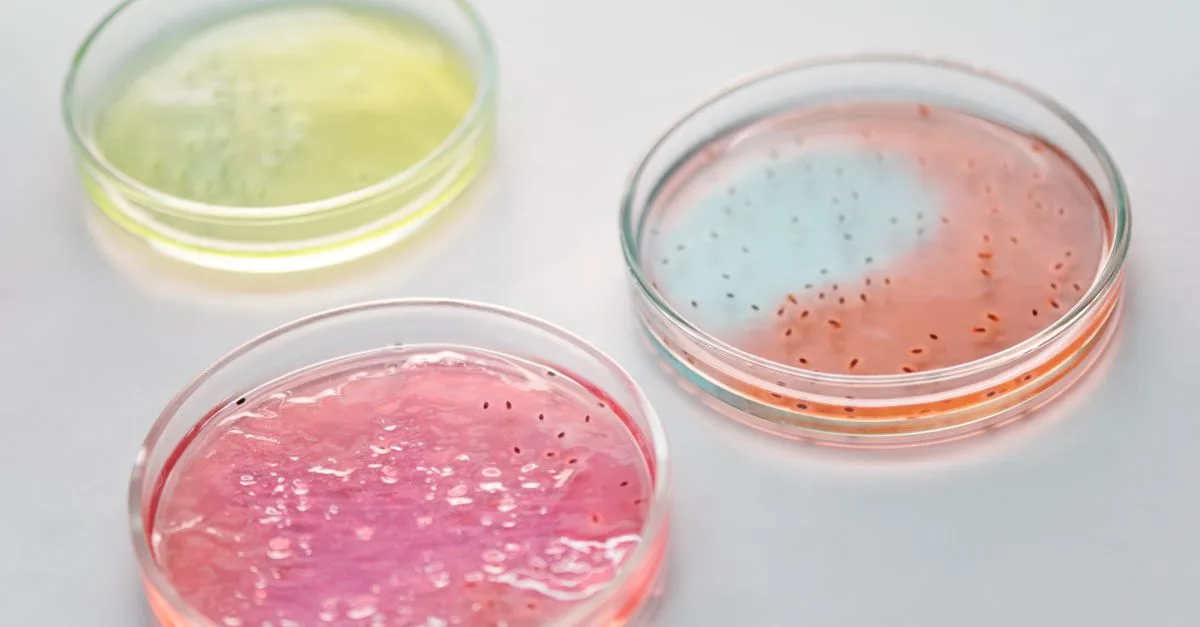 découvrez des solutions naturelles efficaces pour lutter contre citrobacter koseri et protéger votre santé de manière sûre et durable.